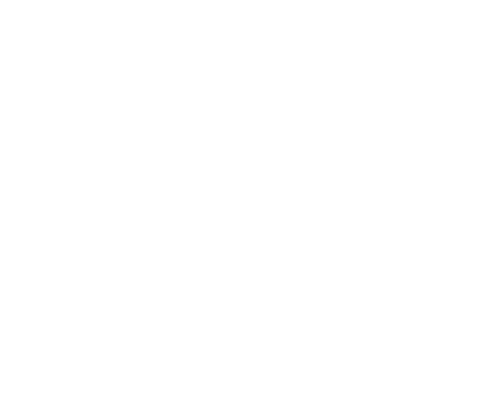 やりがい